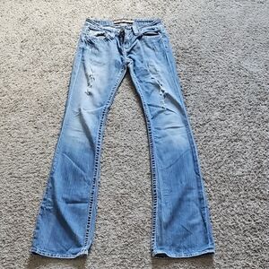 Big Star Blue Flare Wide Leg Jeans